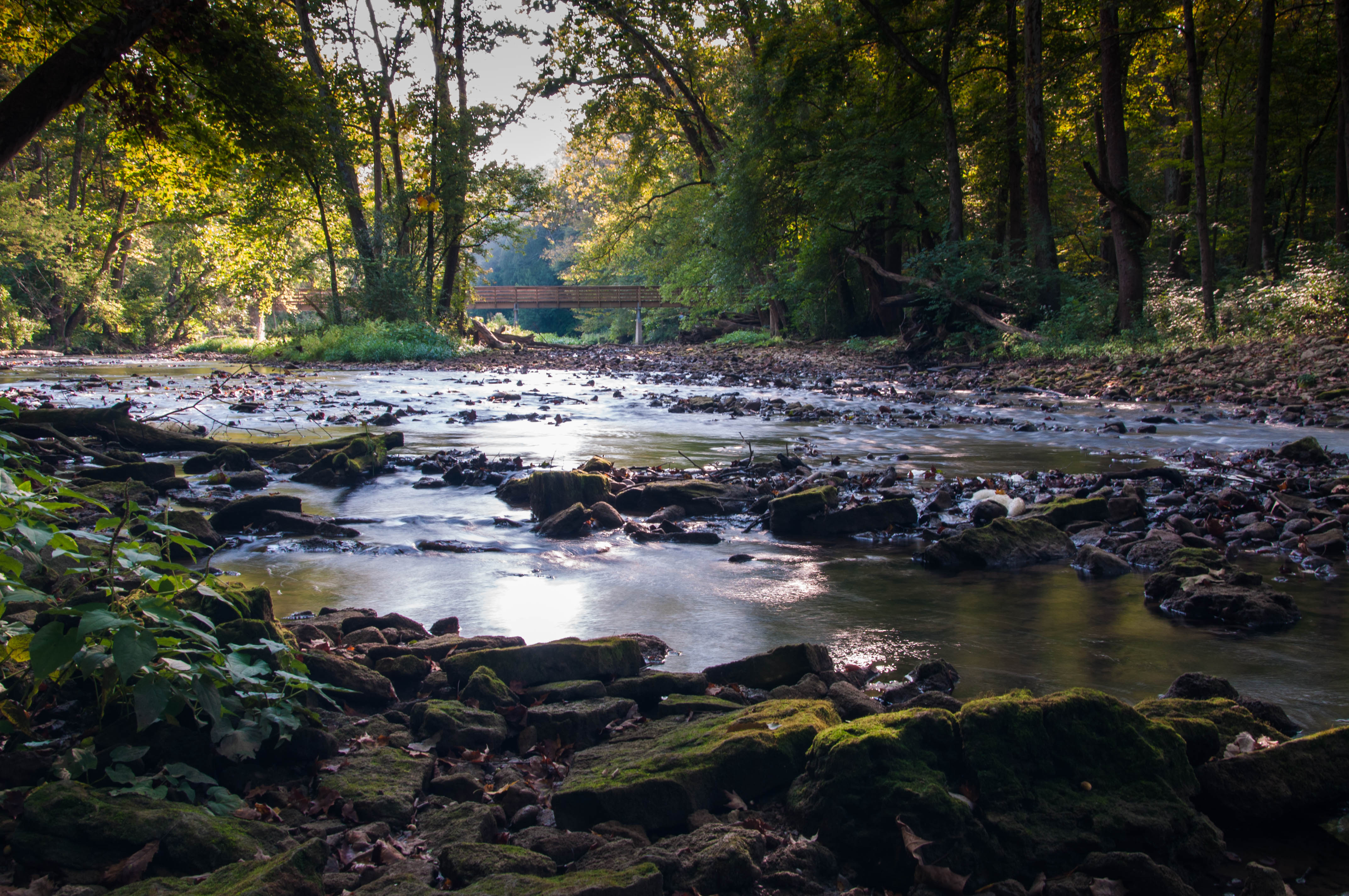 John Bryan riverscape by Larry Hensel