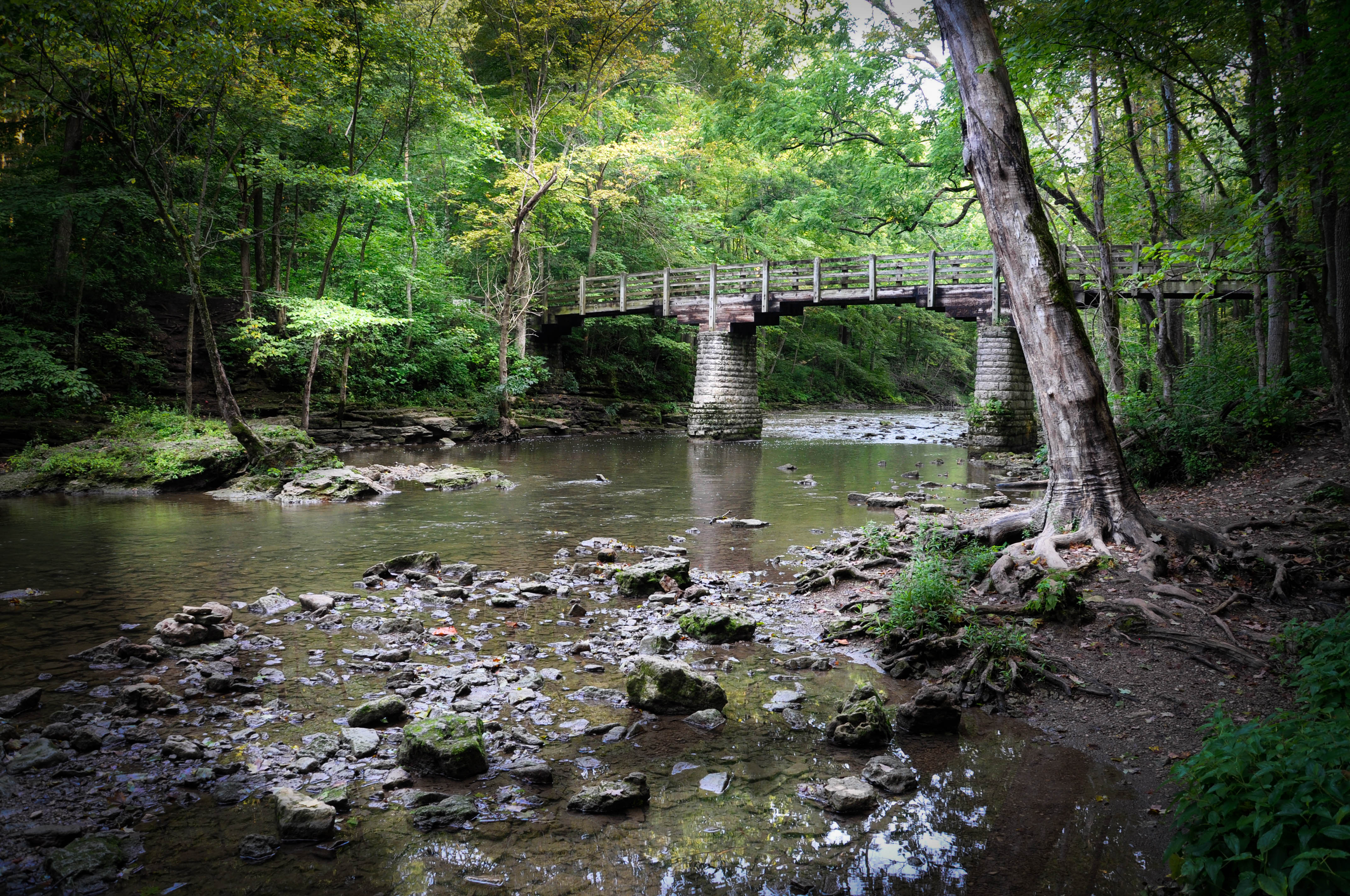 John Bryan expansion bridge by Larry Hensel