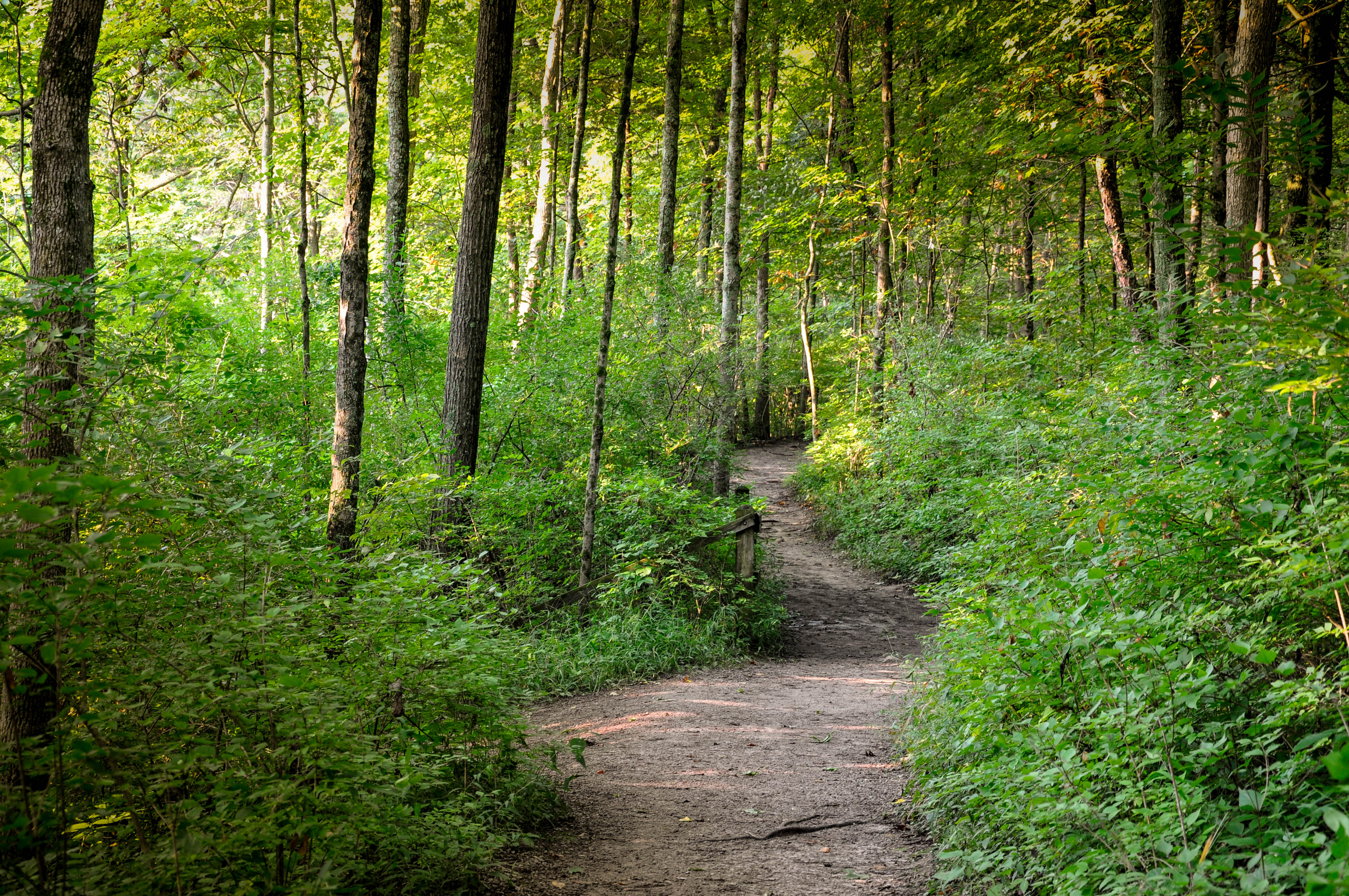 John Bryan park hiking trail by Larry Hensel
