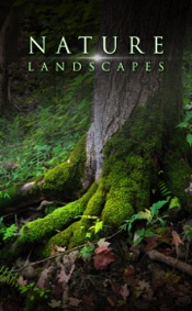 Nature Landscapes Catalog by Larry Hensel