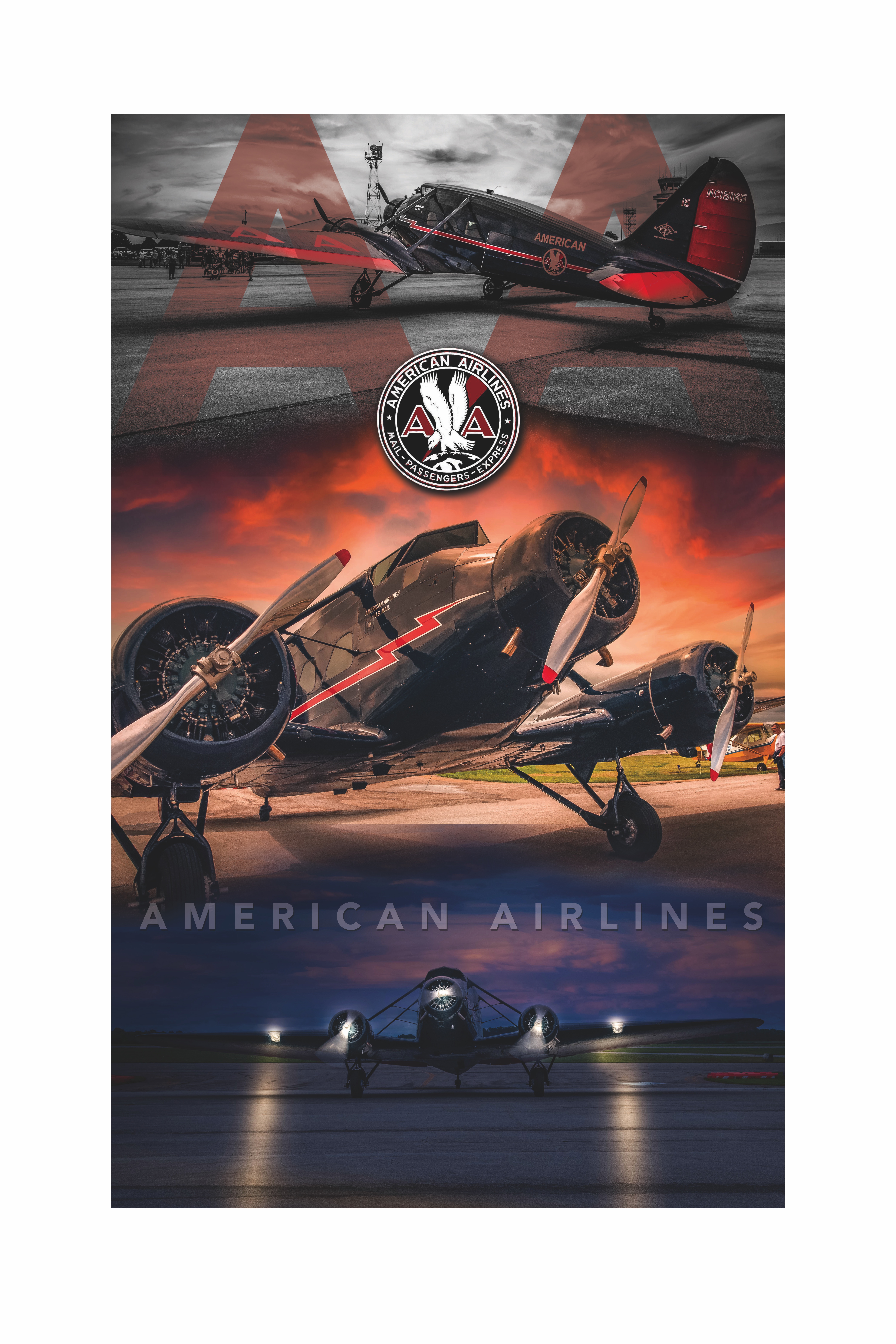 American Airlines Poster 2 by Larry Hensel