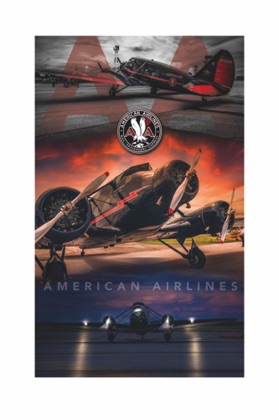 American Airlines -5 Final poster design