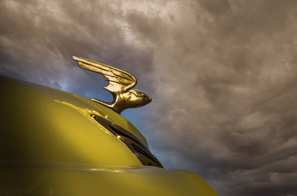 detail shot of hood ornament on aircraft