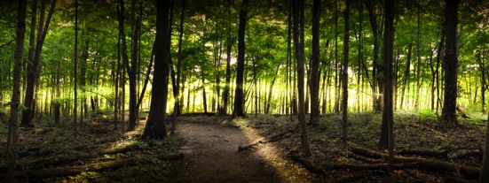 John Bryan State Park by Larry Hensel